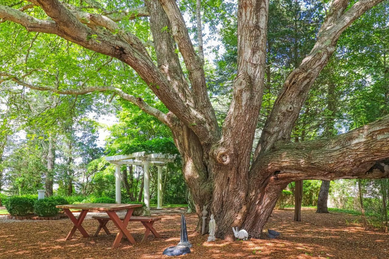 Vila Lily Hill Vineyard Haven Exteriér fotografie